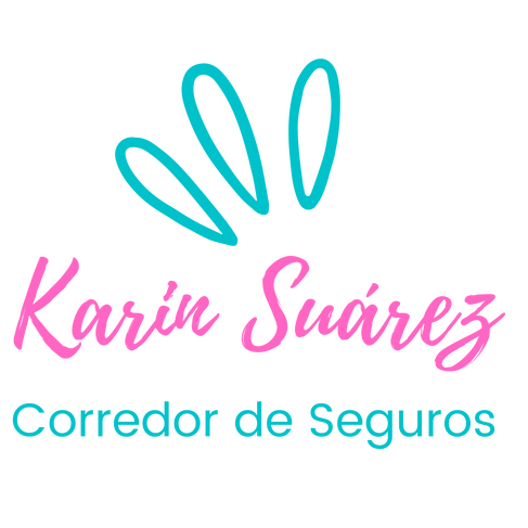 Karin Seguros